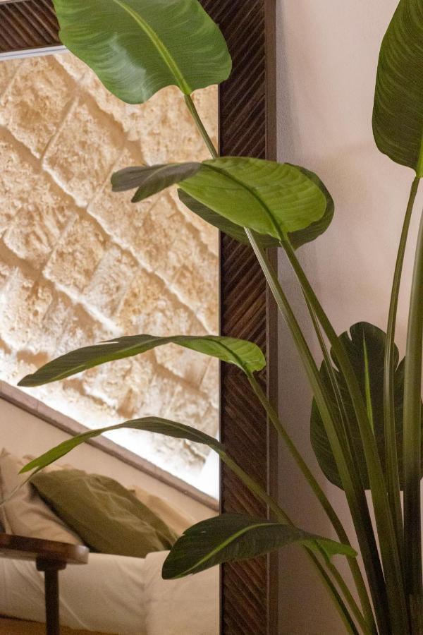 Pasithea - Casa Della Serenita Trani Bagian luar foto
